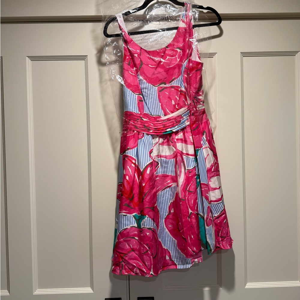 Floral Striped Fit & Flare Dress with Pink Rose Print